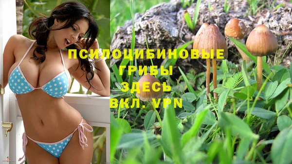 СК Надым