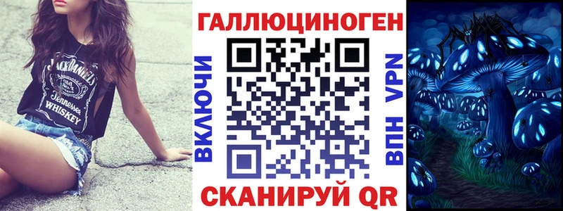 закладка  Минусинск  Псилоцибиновые грибы GOLDEN TEACHER 