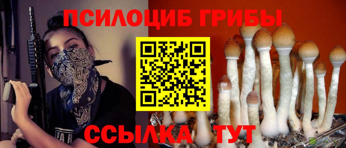 Минусинск  Галлюциногенные грибы GOLDEN TEACHER  купить  сайты  Вход с VPN 